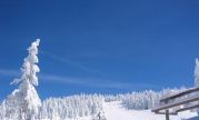 Kopaonik