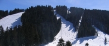 Borovec
