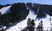 Borovec