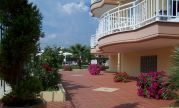 venus palace