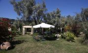 maistro