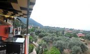 maistro