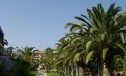 Pilalidis