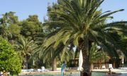 Pilalidis